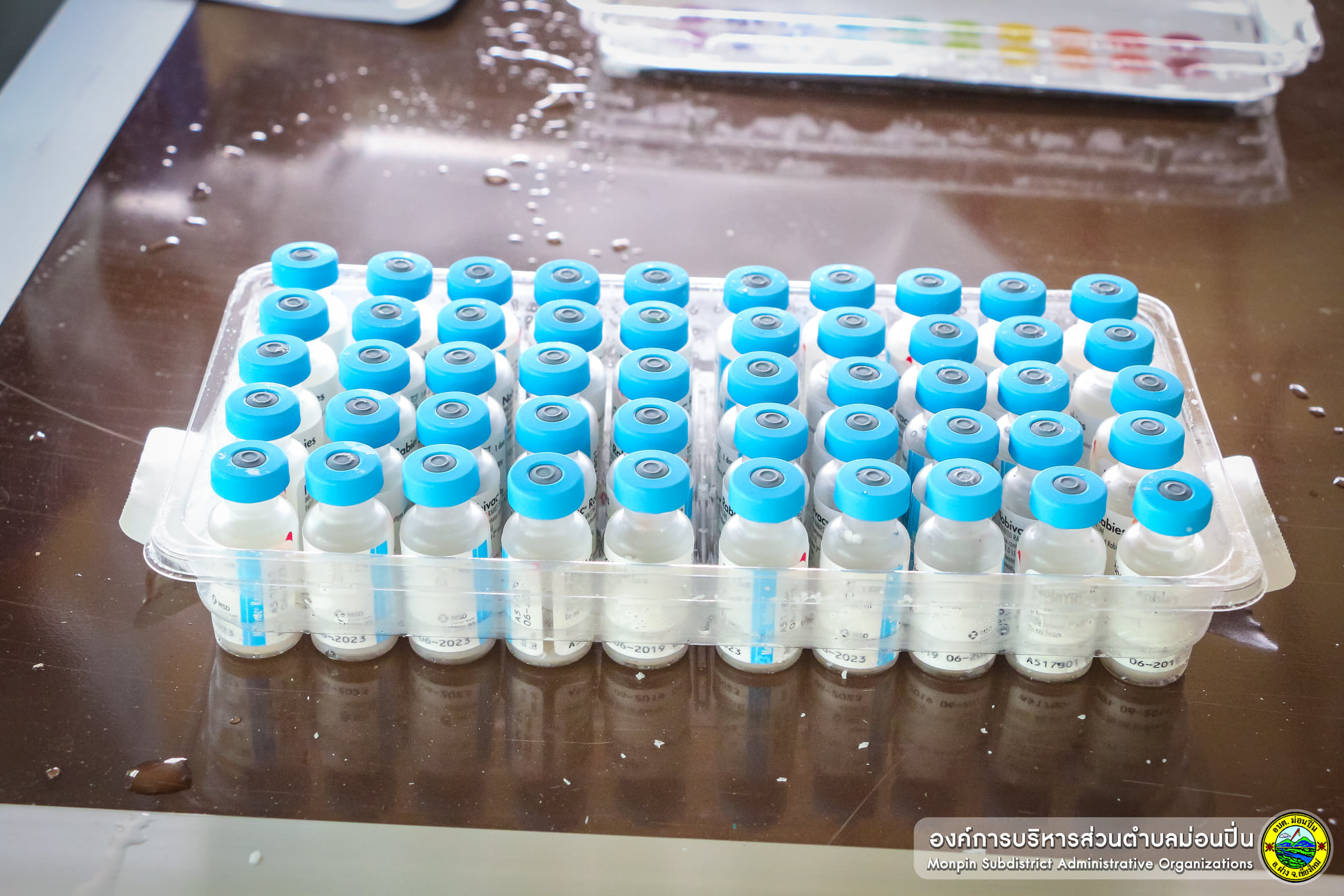 โครงการสร้างพื้นที่ปลอดโรคพิษสุนัขบ้าในพื้นที่ตำบลม่อนปิ่น ประจำปี 2564