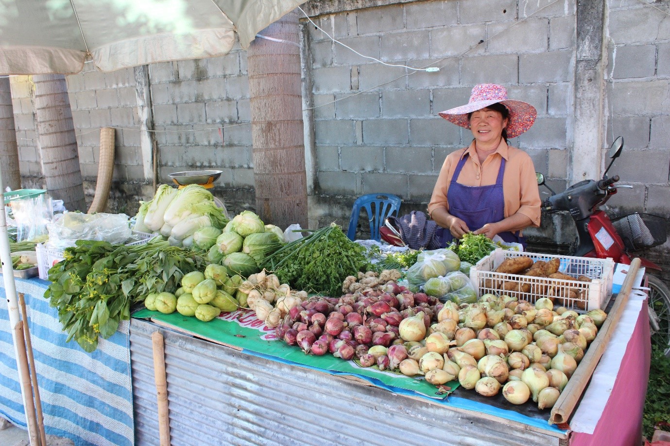 ตลาดประชารัฐ เพื่อชุมชนบ้านม่อนปิ่น หมู่ 3