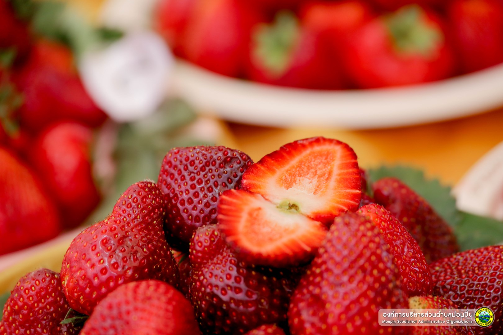  โครงการวันเกษตรตำบลม่อนปิ่น ประจำปี 2568