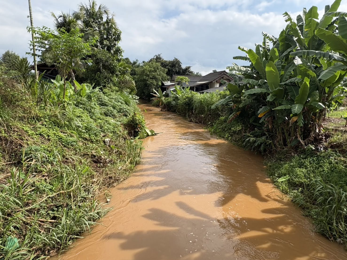 activity image