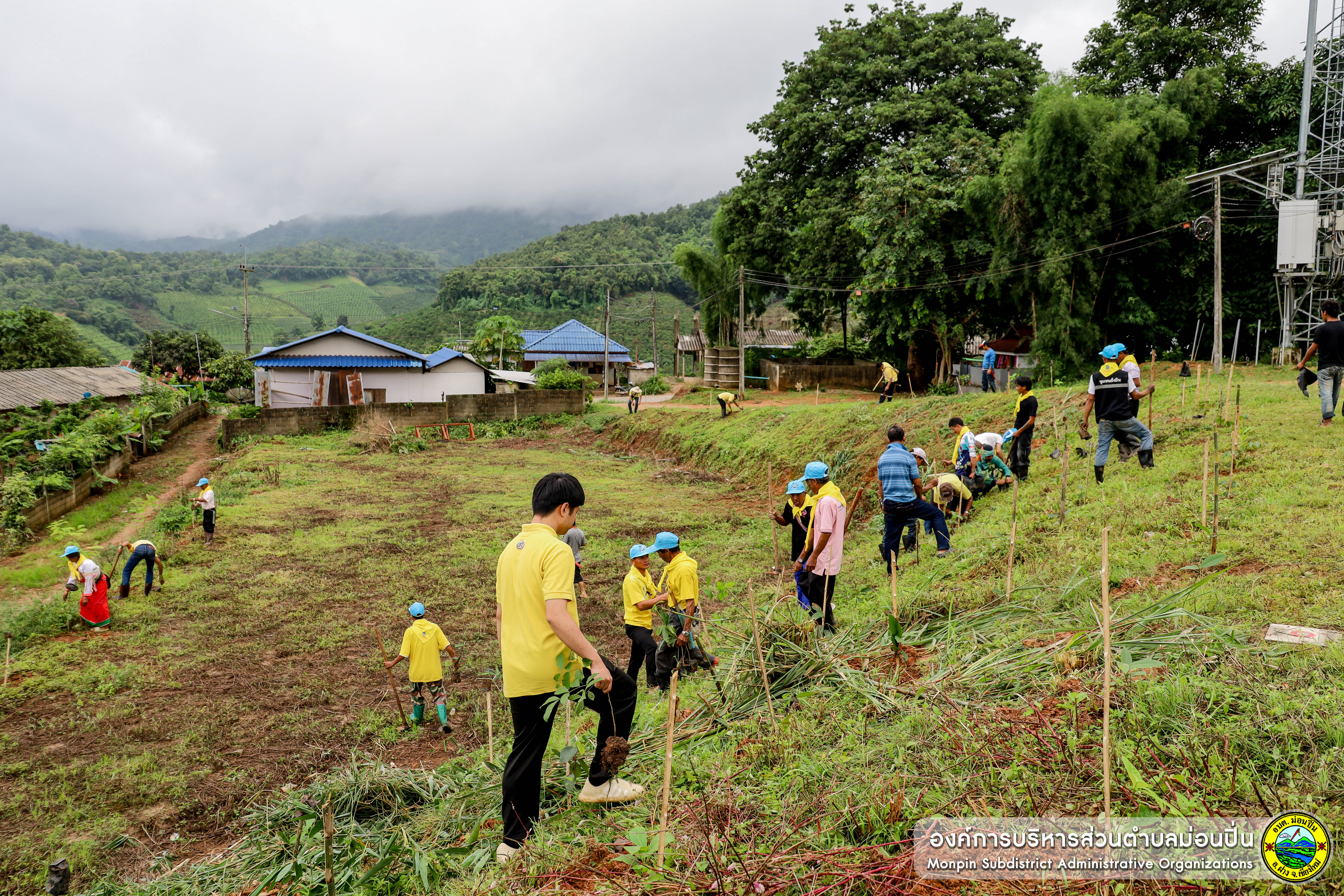 ภาพประกอบ  โครงการรณรงค์ลดภาวะโลกร้อน ประจำปีงบประมาณ 2568