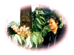สัญลักษณ์โครงการ